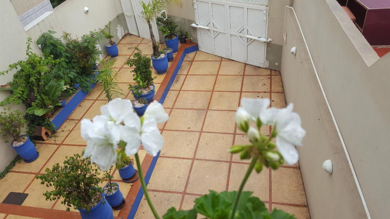 Majorelle Charaf * Agadir